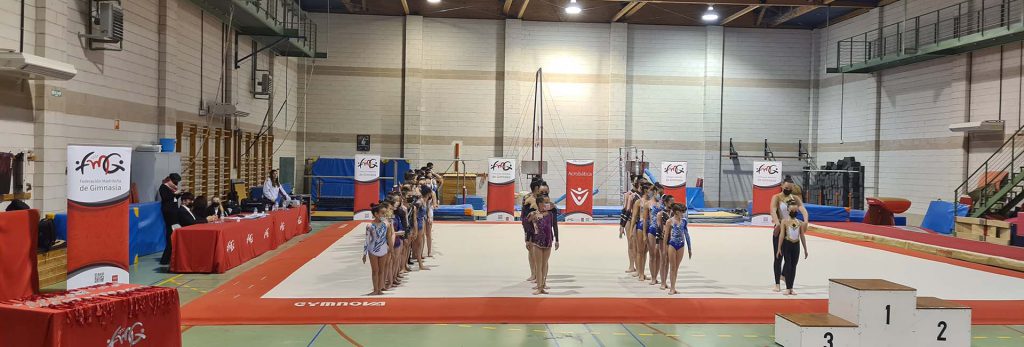Gimnastas formadas sobre el tapiz del Campeonato Autonómico de Madrid de 2022.